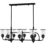 21 inch 8 Light Black Linear Chandelier with Hand Blown Clear Seeded Glass Shade-Lighting LumensChandeliers