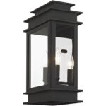 9.5 inch 2 Light Black Outdoor Wall Lantern with Clear Glass Shade-Lighting LumensLantern