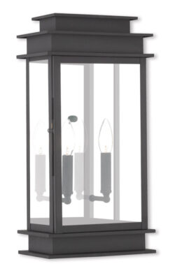 9.5 inch 2 Light Black Outdoor Wall Lantern with Clear Glass Shade-Lighting LumensLantern