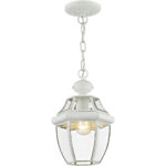 1 Light White Outdoor Chain Lantern Pendant Lighting Fixture with Clear Beveled Glass Shade-Lighting LumensLantern