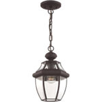 1 Light Bronze Outdoor Chain Lantern Pendant Lighting Fixture with Clear Beveled Glass Shade-Lighting LumensLantern