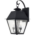 9 inch 2 Light Black Outdoor Wall Lantern Pendant Lighting Fixture with Seeded Glass Shade-Lighting LumensLantern