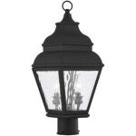 8 inch 2 Light Black Outdoor Post Lantern Pendant Lighting Fixture with Clear Water Glass Shade-Lighting LumensLantern