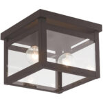 8 inch 2 Light Bronze Ceiling Light fixture with Clear Glass Shade-Lighting LumensFlush Mount Ceiling Lights