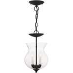 2 Light Black Chain Hang/Ceiling Light fixture with Clear Glass Shade-Lighting LumensFlush Mount Ceiling Lights