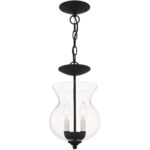 2 Light Black Chain Hang/Ceiling Light fixture with Clear Glass Shade-Lighting LumensFlush Mount Ceiling Lights