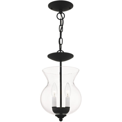 2 Light Black Chain Hang/Ceiling Light fixture with Clear Glass Shade-Lighting LumensFlush Mount Ceiling Lights