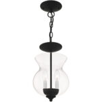 2 Light Black Chain Hang/Ceiling Light fixture with Clear Glass Shade-Lighting LumensFlush Mount Ceiling Lights