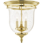 3 Light Polished Brass Ceiling Light fixture with Hand Blown Clear Seeded Glass Shade-Lighting LumensFlush Mount Ceiling Lights