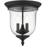 3 Light Black Ceiling Light fixture with Hand Blown Clear Seeded Glass Shade-Lighting LumensFlush Mount Ceiling Lights