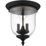 3 Light Black Ceiling Light fixture with Hand Blown Clear Seeded Glass Shade-Lighting LumensFlush Mount Ceiling Lights