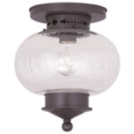 1 Light Bronze Ceiling Light fixture with Hand Blown Seeded Glass Shade-Lighting LumensFlush Mount Ceiling Lights