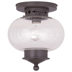 1 Light Bronze Ceiling Light fixture with Hand Blown Seeded Glass Shade-Lighting LumensFlush Mount Ceiling Lights