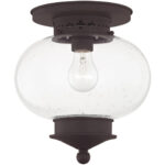 1 Light Bronze Ceiling Light fixture with Hand Blown Seeded Glass Shade-Lighting LumensFlush Mount Ceiling Lights