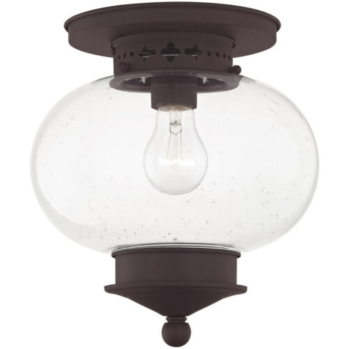 1 Light Bronze Ceiling Light fixture with Hand Blown Seeded Glass Shade-Lighting LumensFlush Mount Ceiling Lights