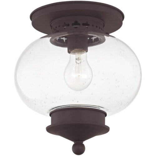 1 Light Bronze Ceiling Light fixture with Hand Blown Seeded Glass Shade-Lighting LumensFlush Mount Ceiling Lights