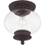 1 Light Bronze Ceiling Light fixture with Hand Blown Seeded Glass Shade-Lighting LumensFlush Mount Ceiling Lights