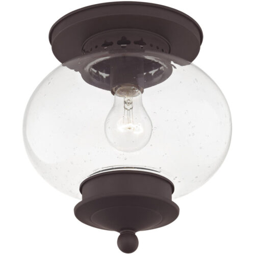 1 Light Bronze Ceiling Light fixture with Hand Blown Seeded Glass Shade-Lighting LumensFlush Mount Ceiling Lights