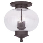 3 Light Bronze Ceiling Light fixture with Hand Blown Seeded Glass Shade-Lighting LumensFlush Mount Ceiling Lights