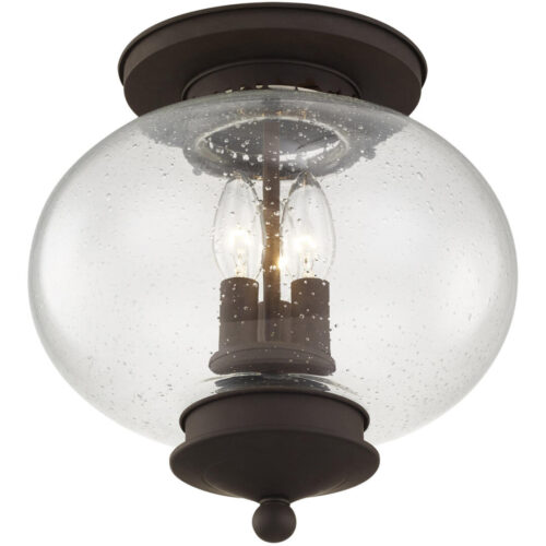 3 Light Bronze Ceiling Light fixture with Hand Blown Seeded Glass Shade-Lighting LumensFlush Mount Ceiling Lights