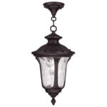 1 Light Bronze Chain Lantern Pendant Lighting Fixture with Clear Water Glass Shade-Lighting LumensLantern