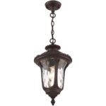 1 Light Bronze Chain Lantern Pendant Lighting Fixture with Clear Water Glass Shade-Lighting LumensLantern