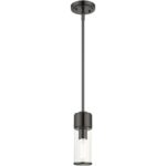 17140-46 1 Light Black Chrome Mini Pendant-Lighting LumensPendant Lights