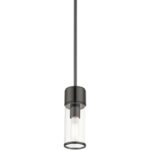 17140-46 1 Light Black Chrome Mini Pendant-Lighting LumensPendant Lights