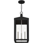 10.5 inch 3 Light Black Outdoor Pendant Lantern with Clear Glass Shade-Lighting LumensLantern