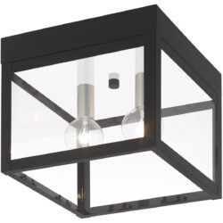 8 inch 2 Light Black Outdoor Ceiling Light fixture with Clear Glass Shade-Lighting LumensFlush Mount Ceiling Lights