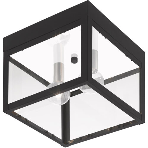 8 inch 2 Light Black Outdoor Ceiling Light fixture with Clear Glass Shade-Lighting LumensFlush Mount Ceiling Lights