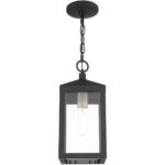 6.25 Sq. inch 1 Light Black Outdoor Pendant Lantern with Clear Glass Shade-Lighting LumensLantern