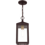 6.25 Sq. inch 1 Light Bronze Outdoor Pendant Lantern with Clear Glass Shade-Lighting LumensLantern