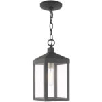 6.25 inch 1 Light Scandinavian Gray Outdoor Pendant Lantern with Clear Glass Shade-Lighting LumensLantern