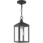 6.25 inch 1 Light Scandinavian Gray Outdoor Pendant Lantern with Clear Glass Shade-Lighting LumensLantern