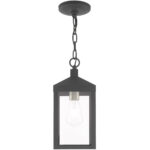 6.25 inch 1 Light Scandinavian Gray Outdoor Pendant Lantern with Clear Glass Shade-Lighting LumensLantern