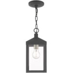 6.25 inch 1 Light Scandinavian Gray Outdoor Pendant Lantern with Clear Glass Shade-Lighting LumensLantern