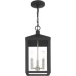 8.25 Sq. inch 3 Light Black Outdoor Pendant Lantern with Clear Glass Shade-Lighting LumensLantern