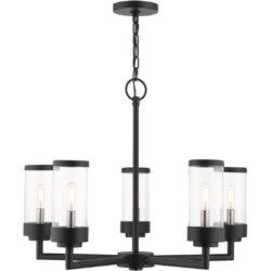 20725-14 5 Light Textured Black Outdoor Chandelier-Lighting LumensChandeliers