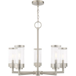 5 Light Brushed Nickel Outdoor Chandelier with Clear Glass Shade-Lighting LumensChandeliers