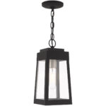 6.25 inch 1 Light Black Outdoor Pendant Lantern with Clear Glass Shade-Lighting LumensLantern