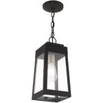 6.25 inch 1 Light Black Outdoor Pendant Lantern with Clear Glass Shade-Lighting LumensLantern