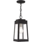 6.25 inch 1 Light Black Outdoor Pendant Lantern with Clear Glass Shade-Lighting LumensLantern