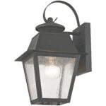 7.5 inch 1 Light Charcoal Outdoor Wall Lantern Pendant Lighting Fixture with Seeded Glass Shade-Lighting LumensLantern