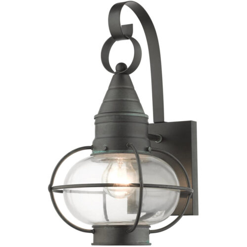 26901-61 1 Light Charcoal Outdoor Wall Lantern-Lighting LumensLantern