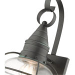 26901-61 1 Light Charcoal Outdoor Wall Lantern-Lighting LumensLantern