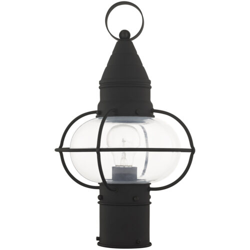 1 Light Black Outdoor Post Lantern Pendant Lighting Fixture with Clear Glass Shade-Lighting LumensLantern