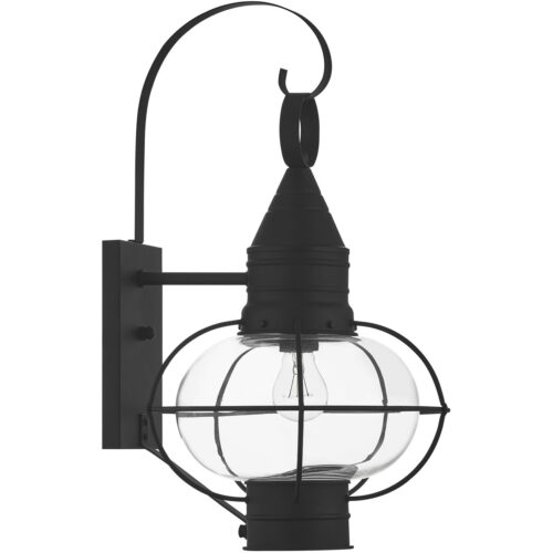 11 inch 1 Light Black Outdoor Wall Lantern Pendant Lighting Fixture with Clear Glass Shade-Lighting LumensLantern