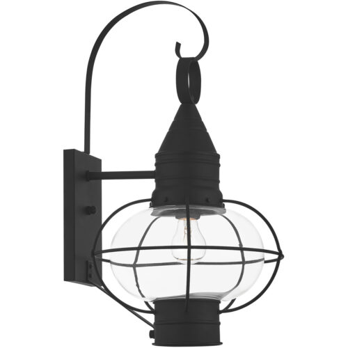 11 inch 1 Light Black Outdoor Wall Lantern Pendant Lighting Fixture with Clear Glass Shade-Lighting LumensLantern