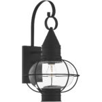 11 inch 1 Light Black Outdoor Wall Lantern Pendant Lighting Fixture with Clear Glass Shade-Lighting LumensLantern